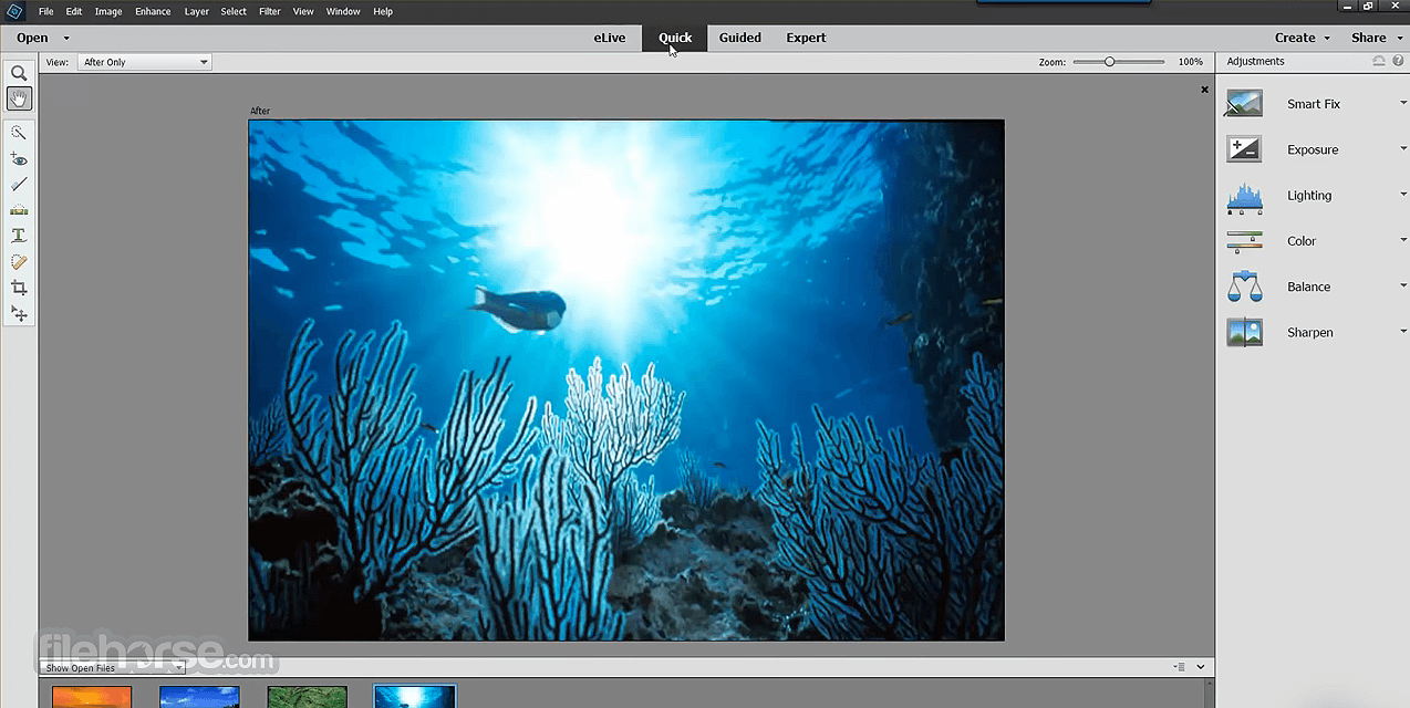 Adobe Photoshop Elements 14 Mac Download